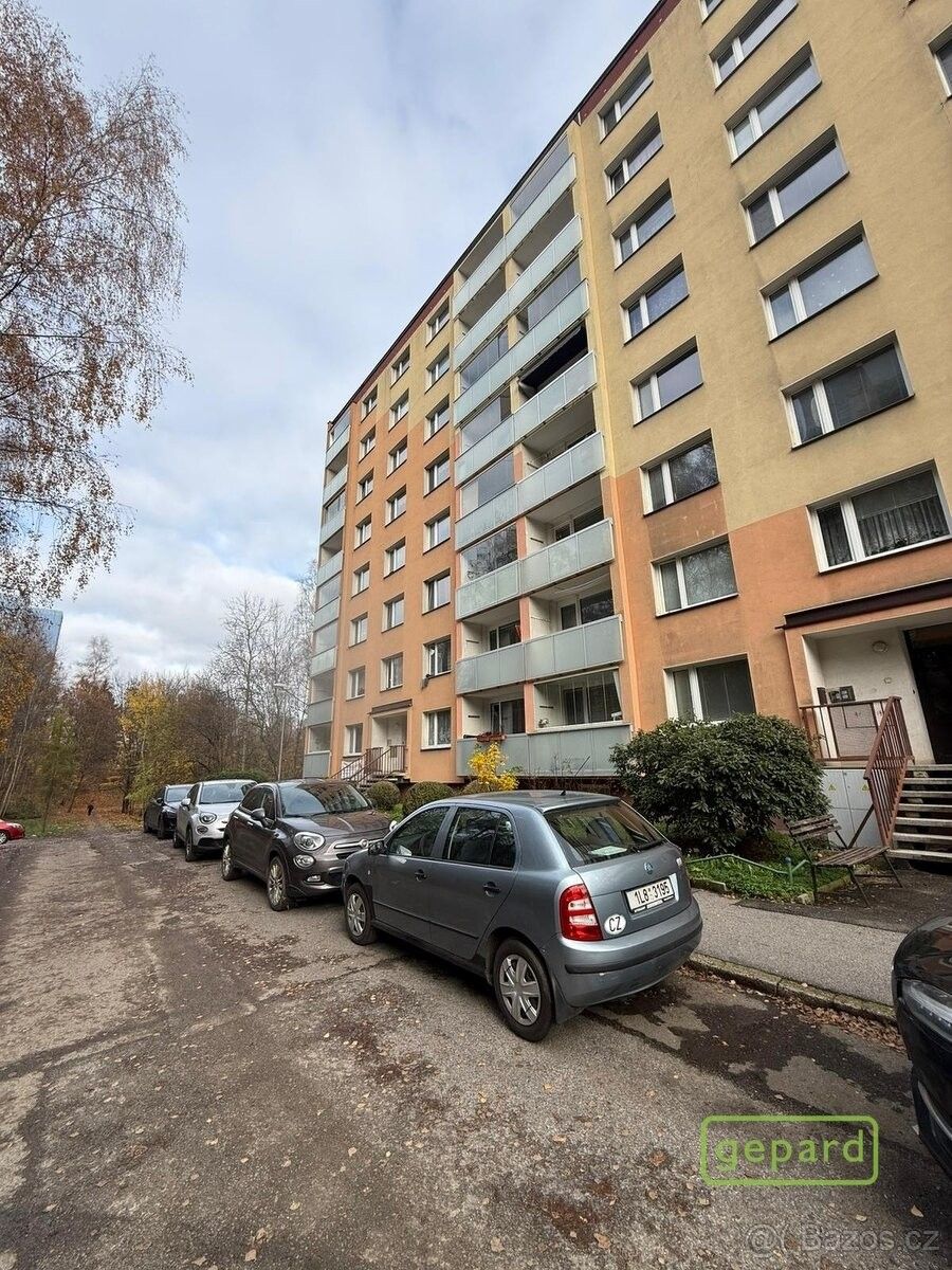 Byty, Liberec, 460 06