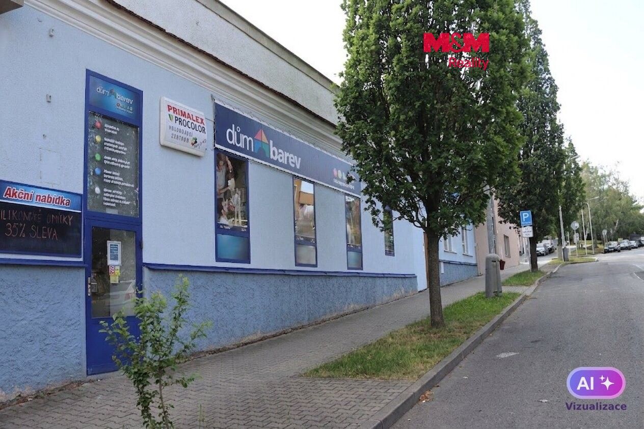 Obchodní prostory, 300 m²