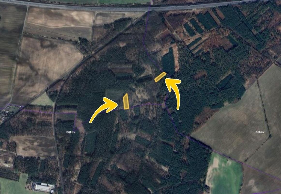 Pronájem les - Opolany, 393 m²