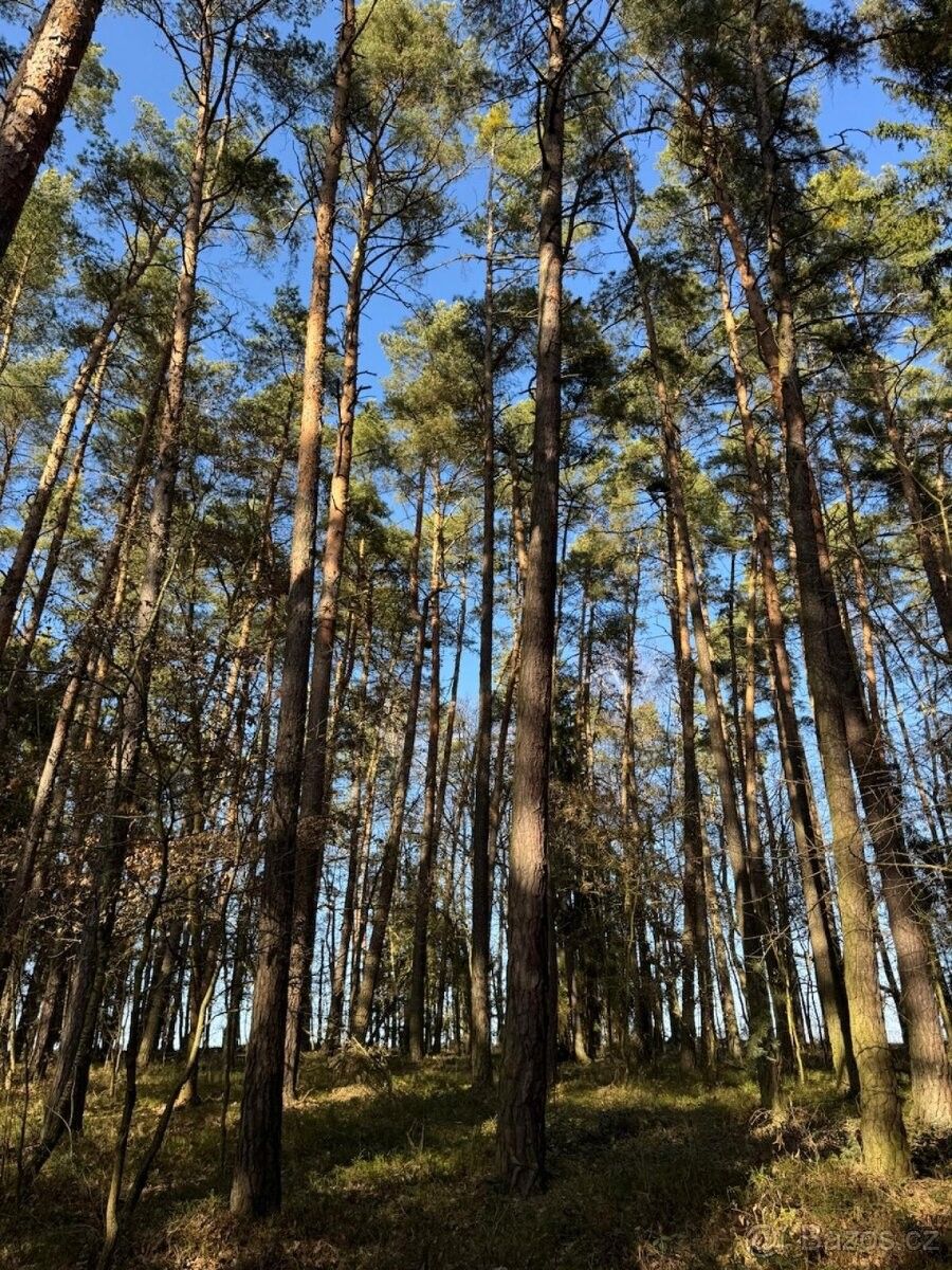 Pozemky pro bydlení, Bernartice u Milevska, 398 43