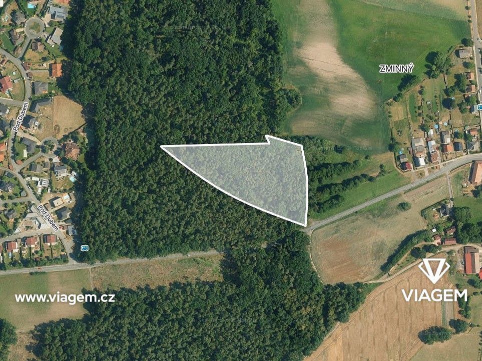 Prodej les - Dašice, okres Pardubice, Pardubický kraj - 2