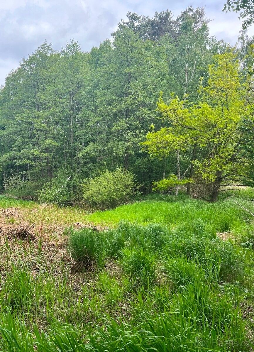 Pozemky pro bydlení, Jindřichův Hradec, 377 01