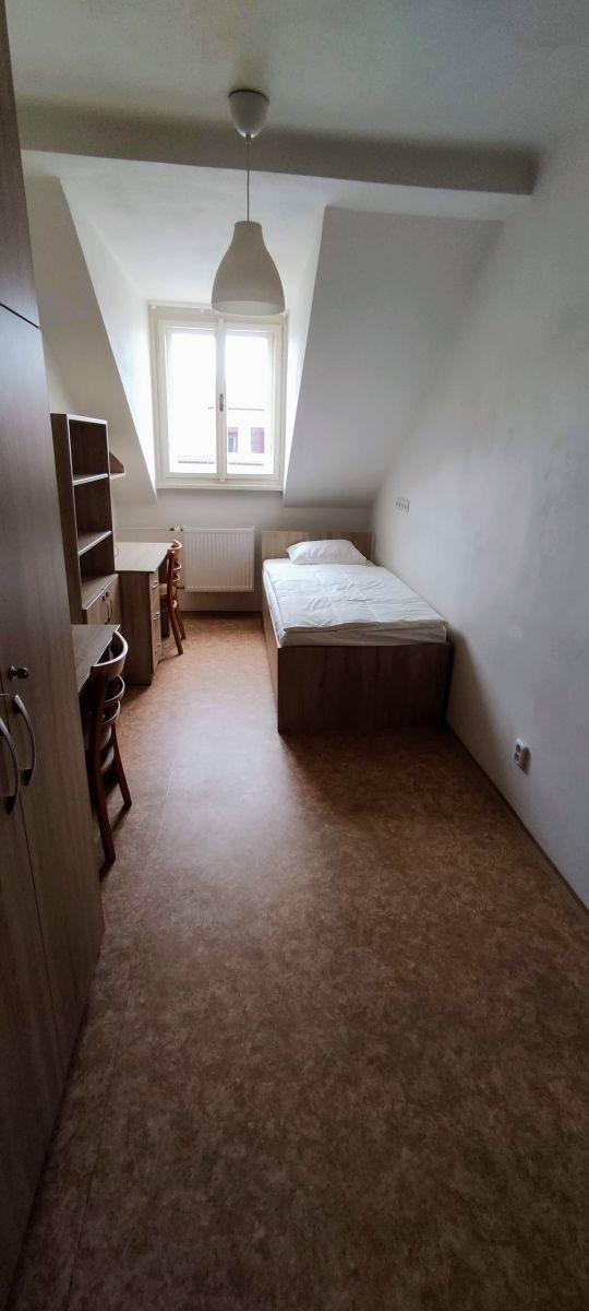 Byty, Lublaňská, Praha - Vinohrady, 300 m² - 2