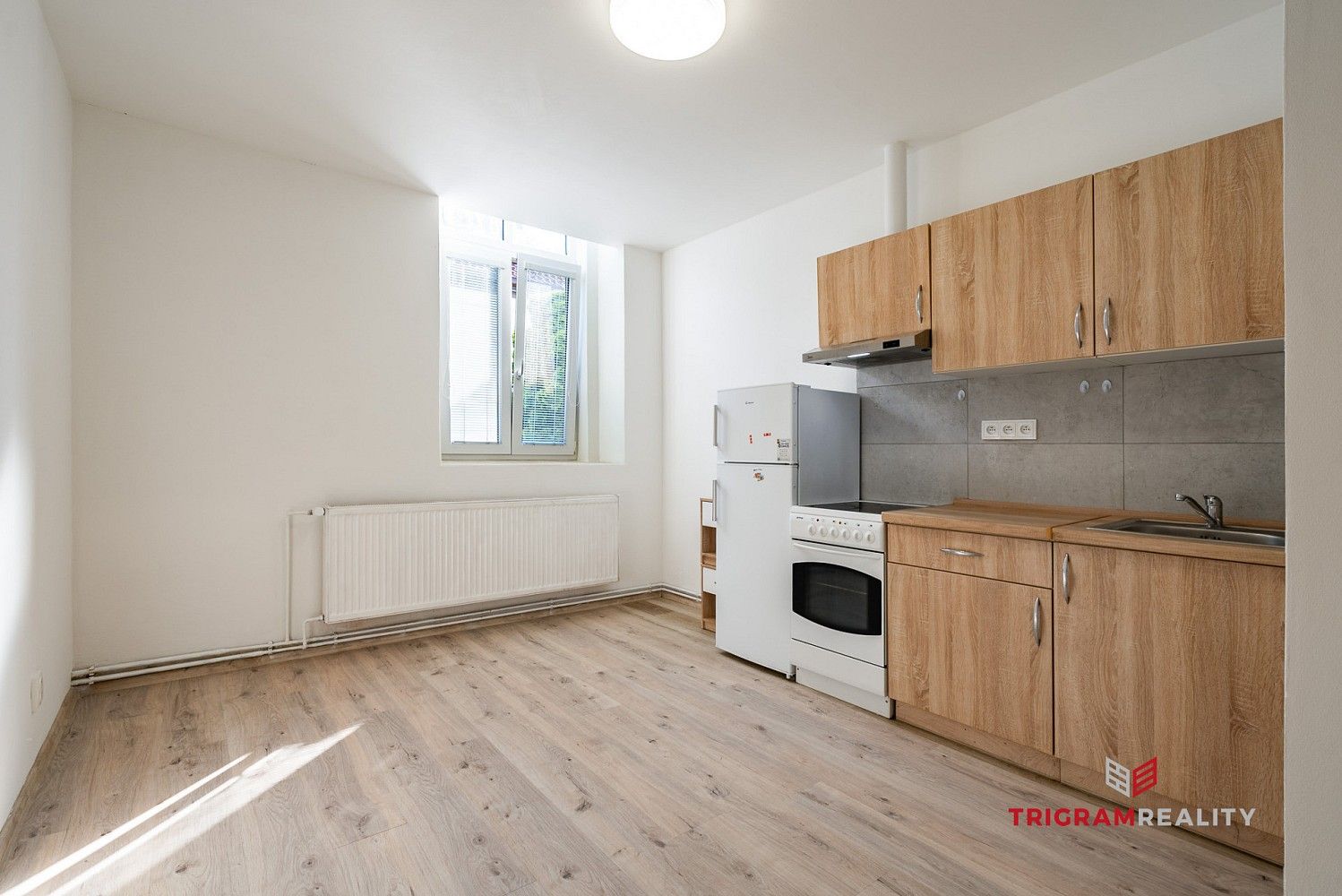 1+kk, Petra Jilemnického, Hradec Králové - Plotiště nad Labem, 18 m²