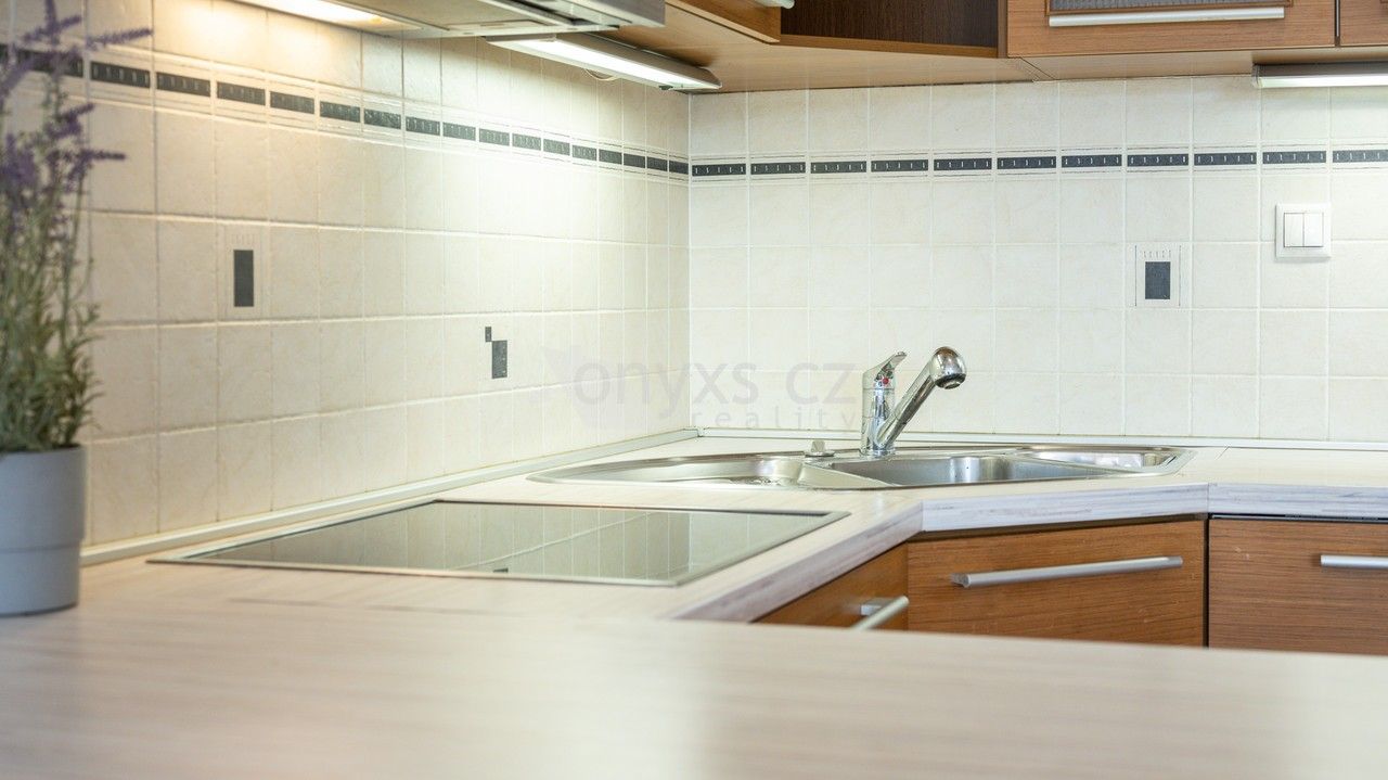 1+kk Apartment in Praha, Krč - View 5