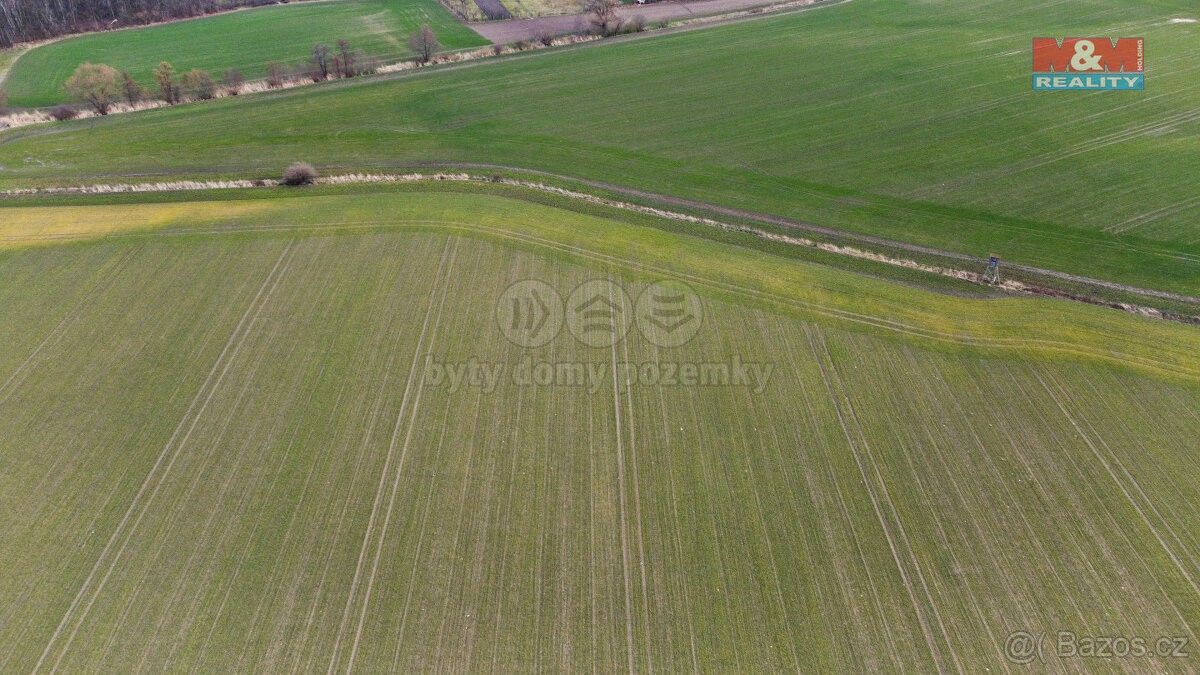 Zemědělské pozemky, Přelouč, 535 01, 7 956 m²