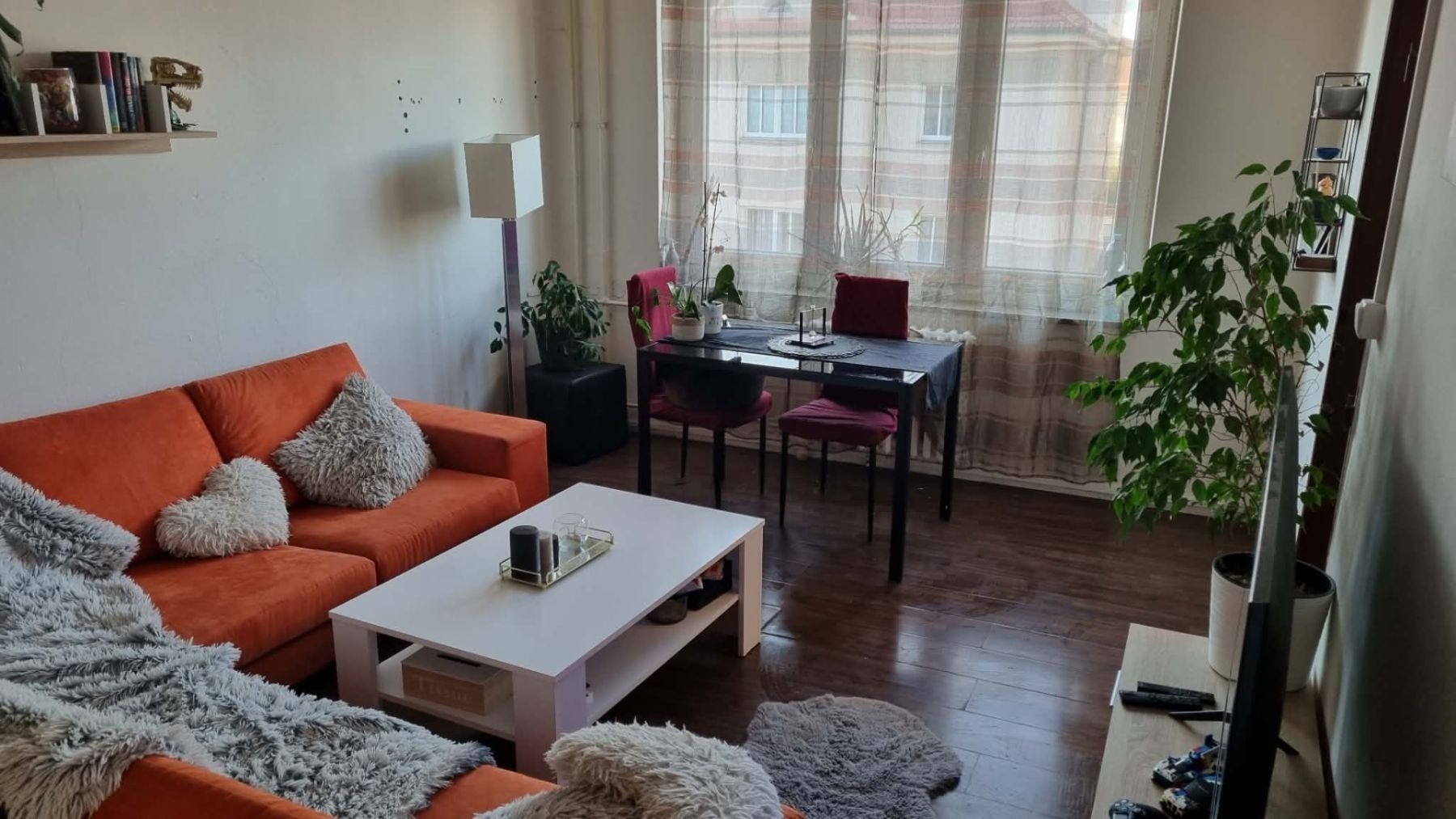 3+1, Čechova, Hradec Králové - Pražské Předměstí, Královéhradecký kraj, 70 m² - 1