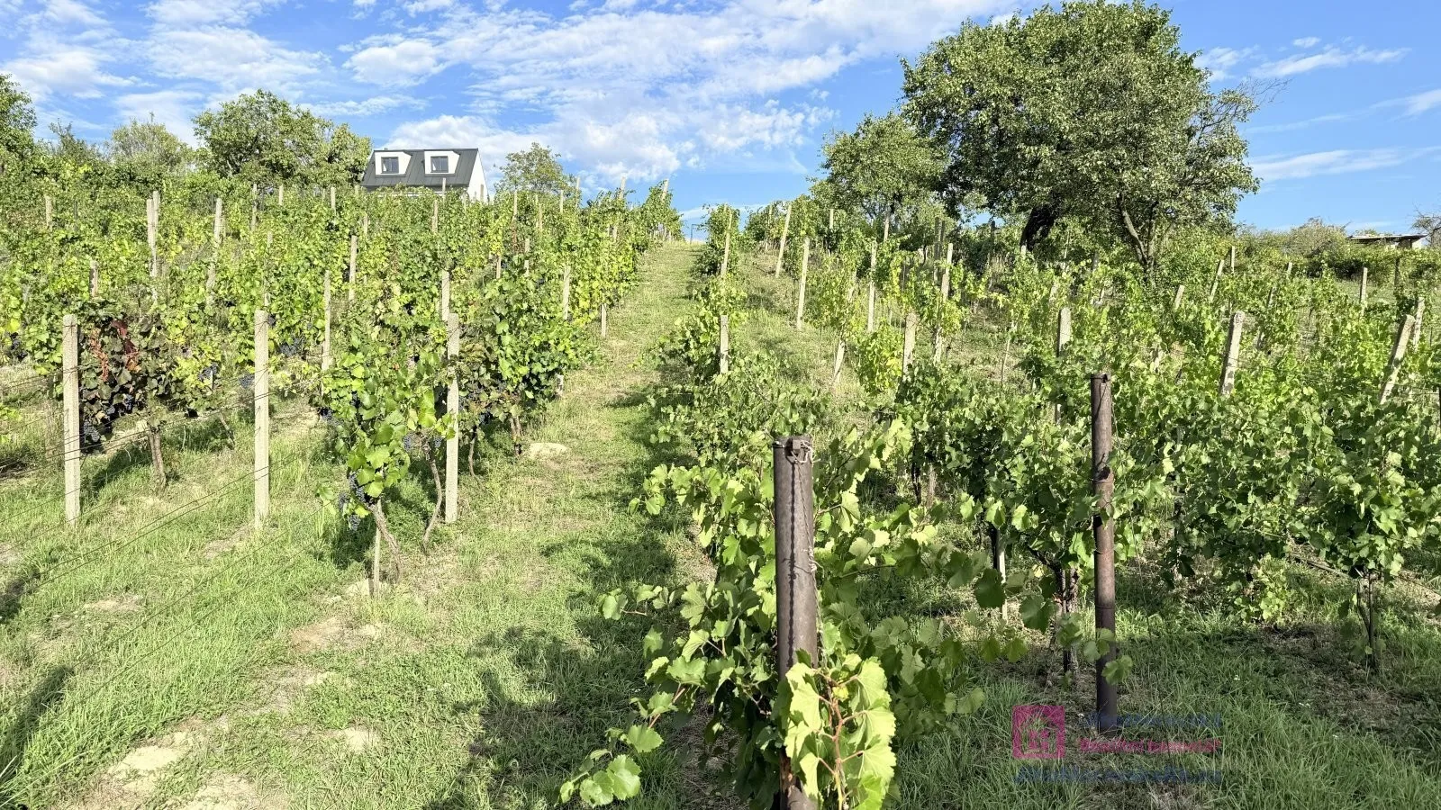 Ostatní