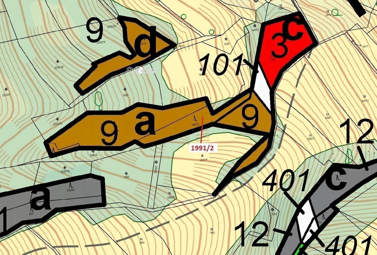 Les · Hovězí, okres Vsetín, Zlínský kraj - 3