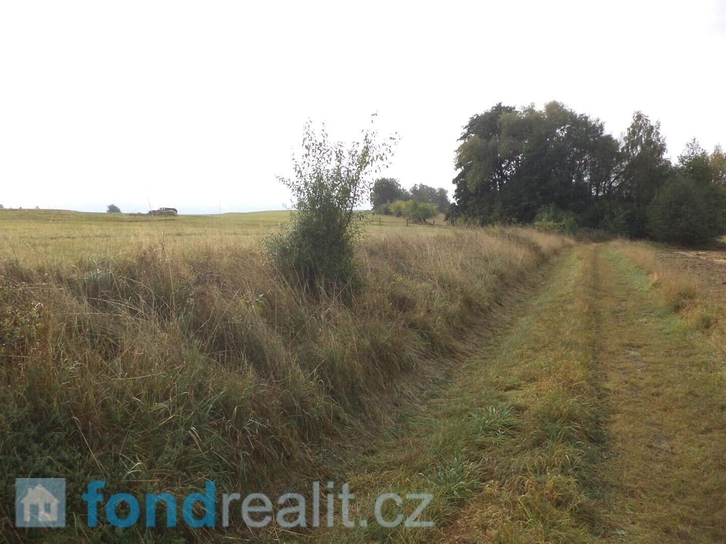 Ostatní, Horní Pěna Malíkov nad Nežárkou, 1 083 m² - 2