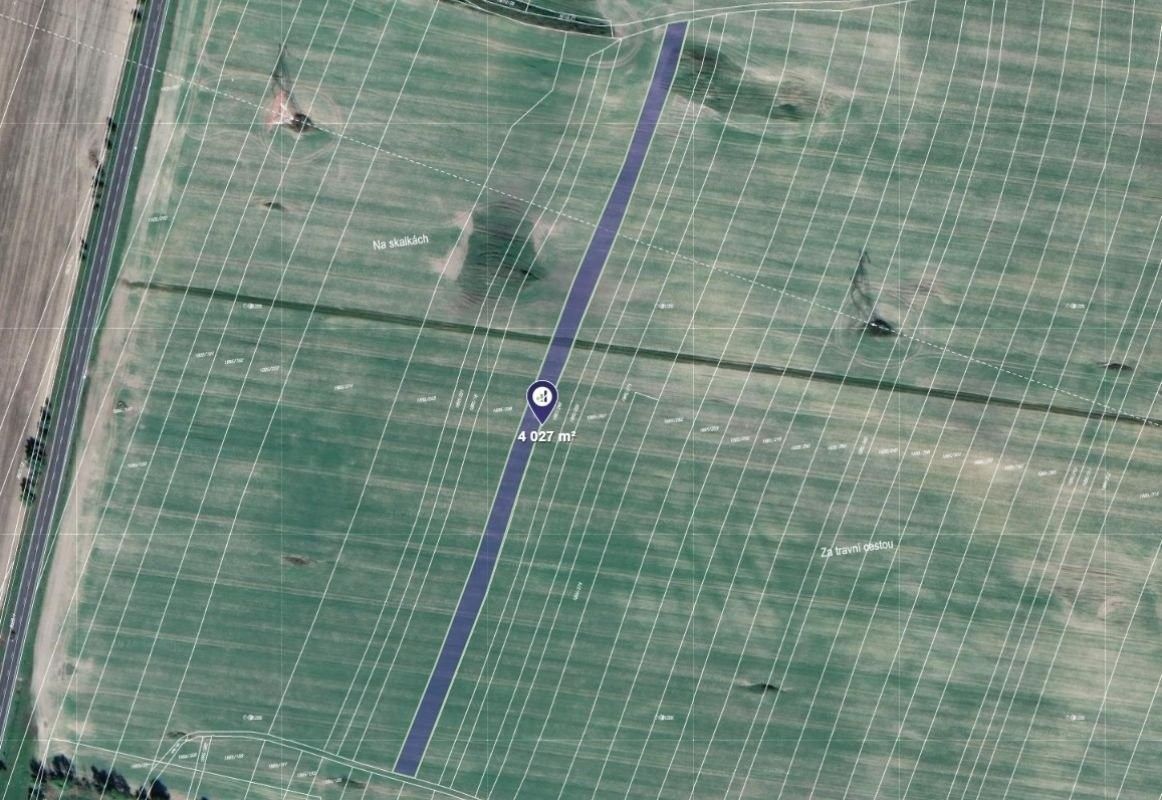 Zemědělský pozemek, 1 007 m²