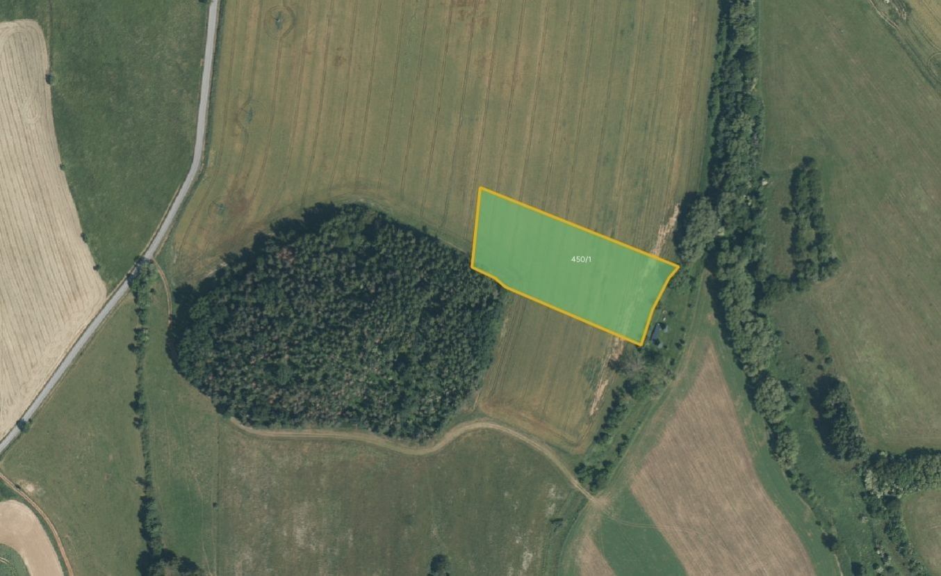 Prodej zemědělský pozemek - Křenice Přetín - 2