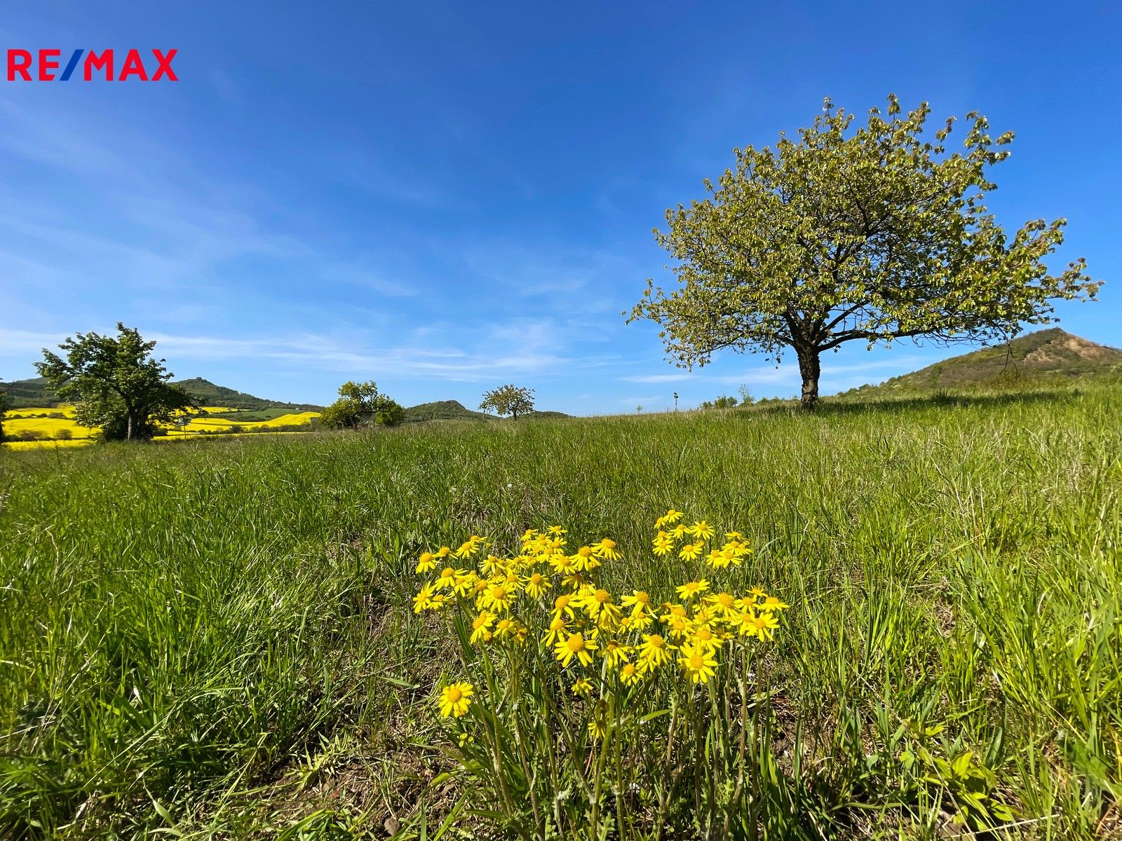 Prodej pozemek pro bydlení - Podsedice, 4 m²