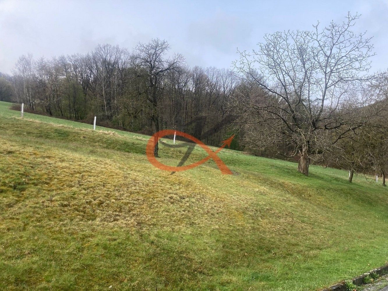 Pozemek pro bydlení · Háj ve Slezsku, okres Opava - 4
