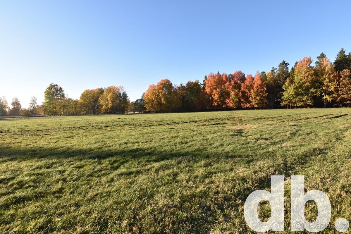 Prodej pozemek pro bydlení - Nová Role, 362 25