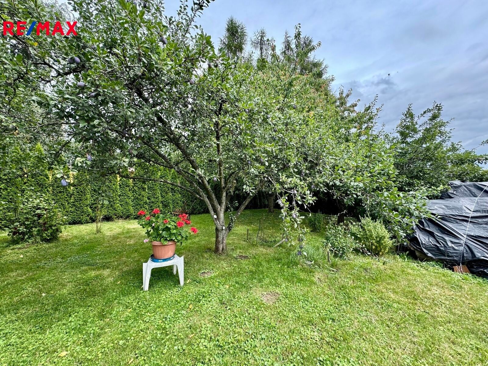 Prodej rodinný dům - Staměřice, Dolní Újezd, 313 m²