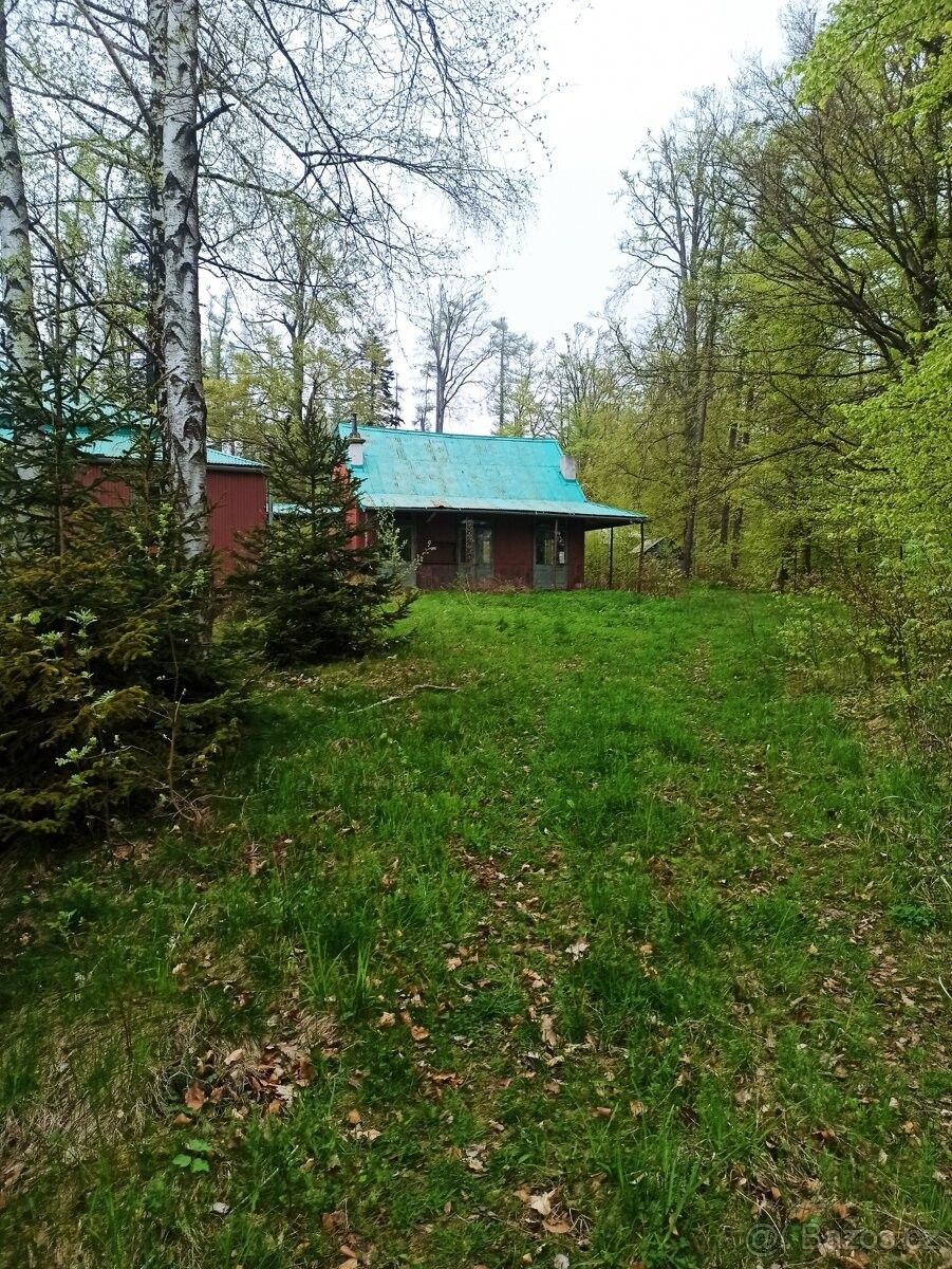 Lesy, Moravský Beroun, 793 05, 11 926 m²