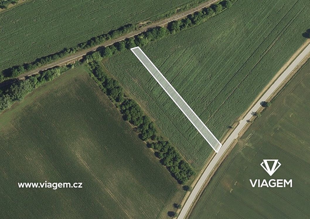 Zemědělské pozemky, Kobylí, okres Břeclav, Jihomoravský kraj - 2