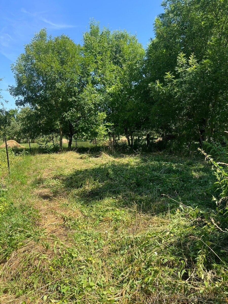 Prodej rodinný dům - Nezamyslice u Prostějova, 798 26