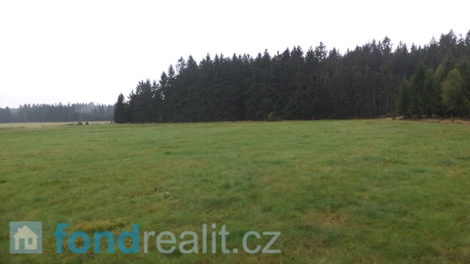 Pozemek · 10 628 m² · Nová Bystřice - 4