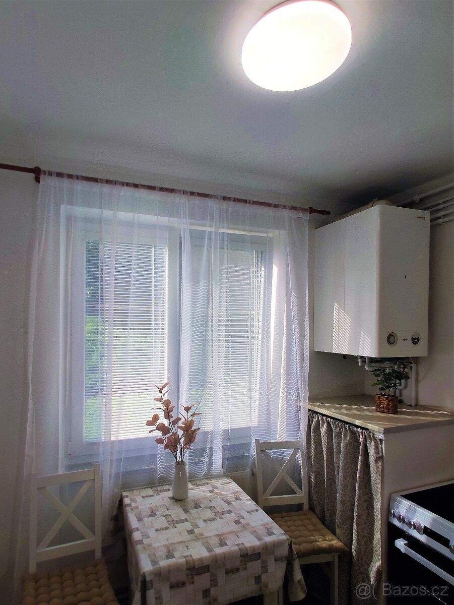 Byt · Konice, 798 52 - 4