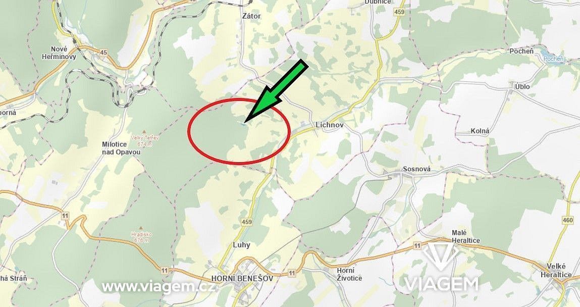 Prodej zemědělský pozemek - Lichnov, okres Bruntál, Moravskoslezský kraj - 2