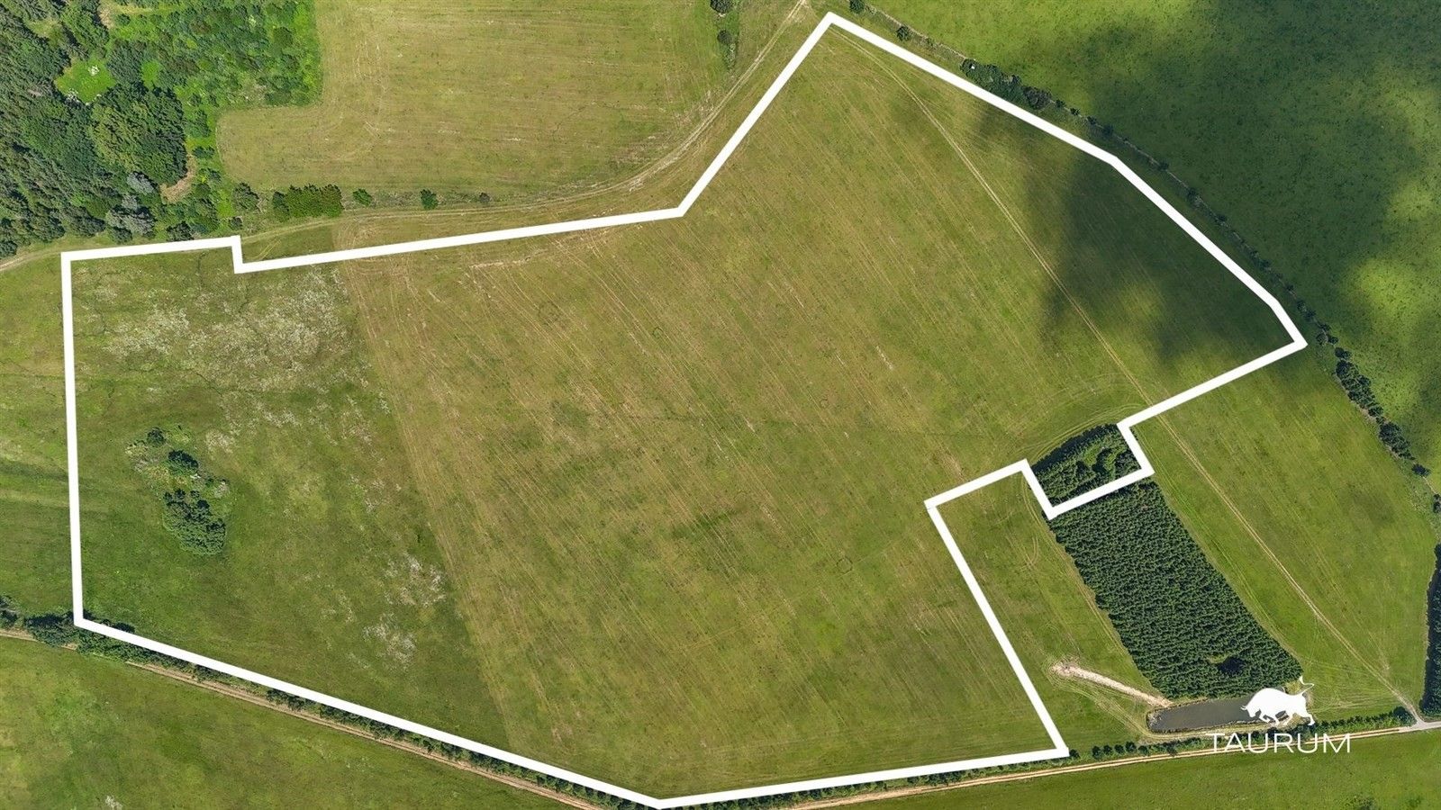 Prodej louka - Chudenín