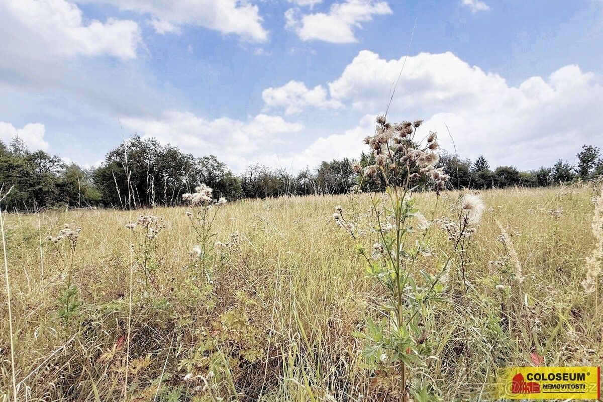 Pozemky pro bydlení, Sebranice u Boskovic, 679 31