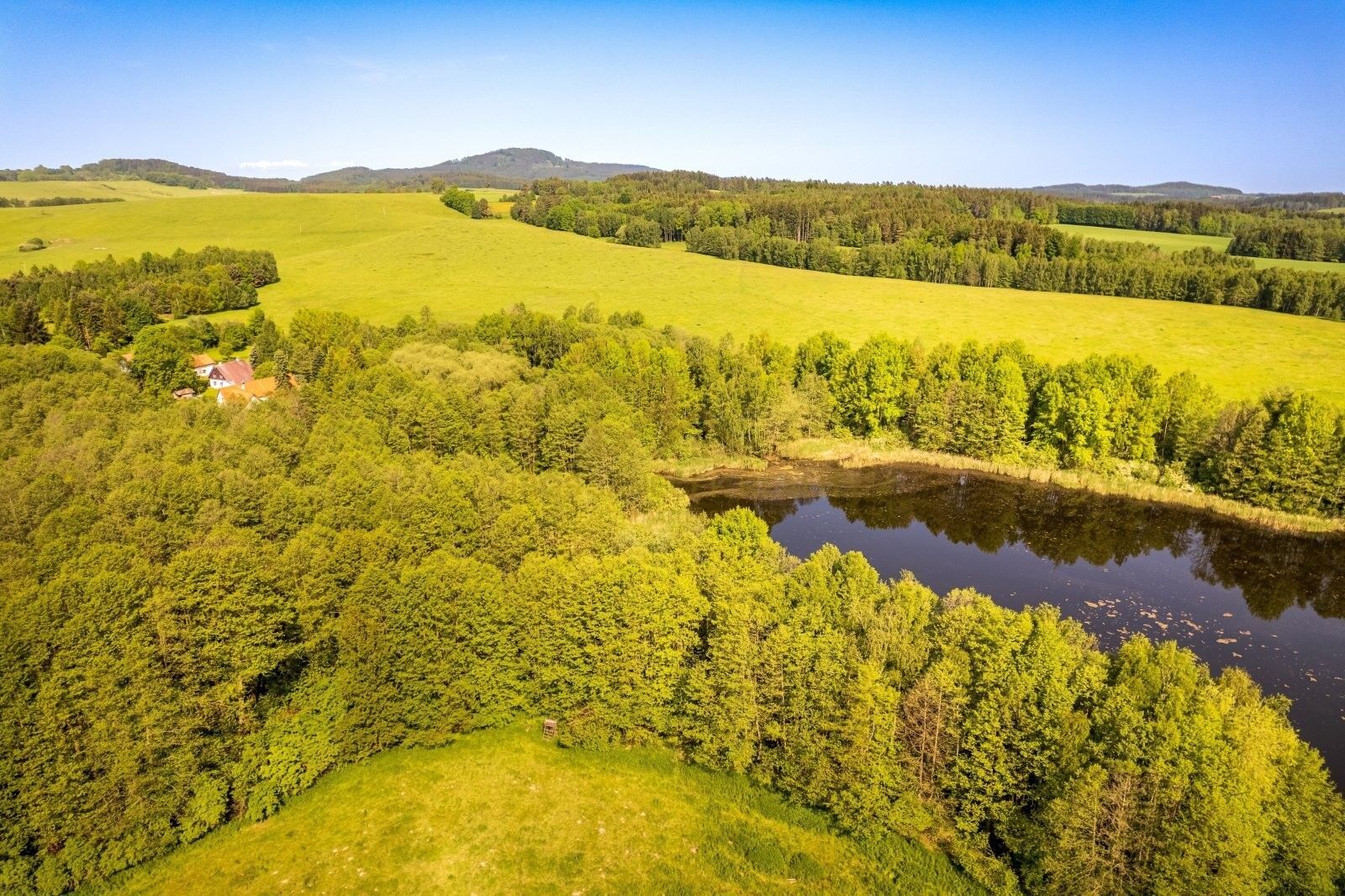 Pozemek pro bydlení · 5 446 m² · Benešov nad Černou Hartunkov - 4