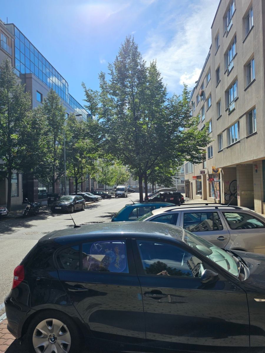 Garáž · 13 m² · Bratří Dohalských, Praha - Vysočany - 3