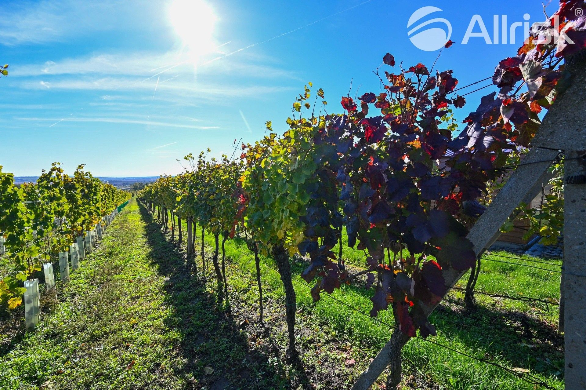 Zemědělské pozemky, Hovorany