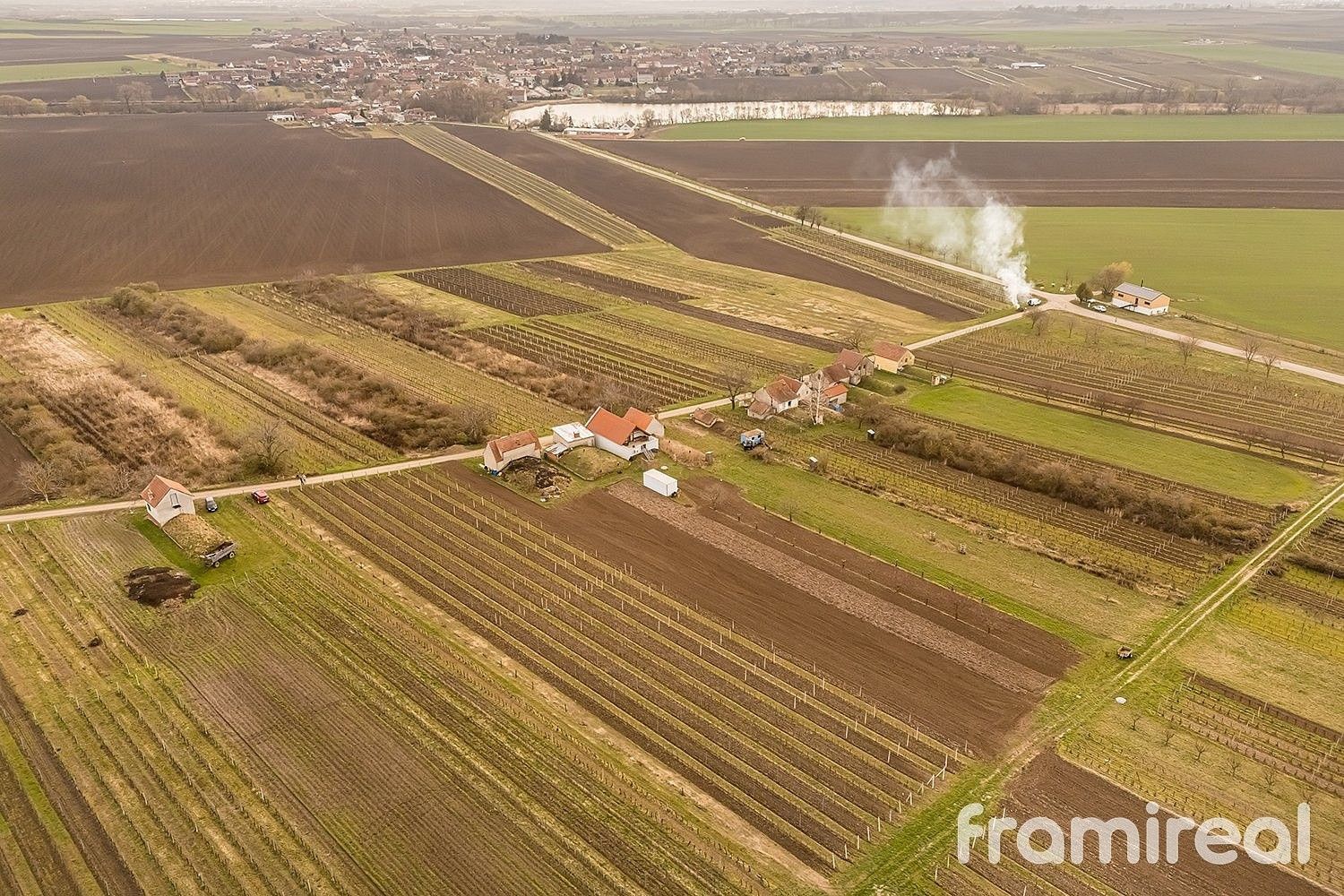 Zemědělské pozemky, Moravský Žižkov, okres Břeclav, Jihomoravský kraj - 2