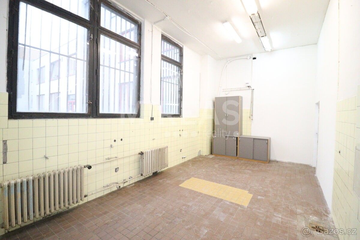 Pronájem sklad - Milovice nad Labem, 289 24
