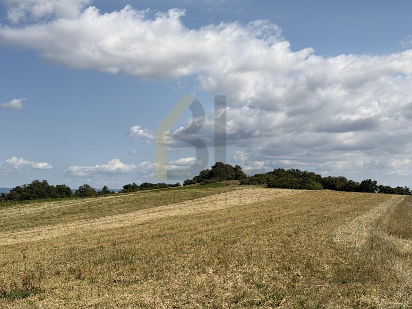 Zahrady, Veselská, Strážnice, 3 867 m² - 2