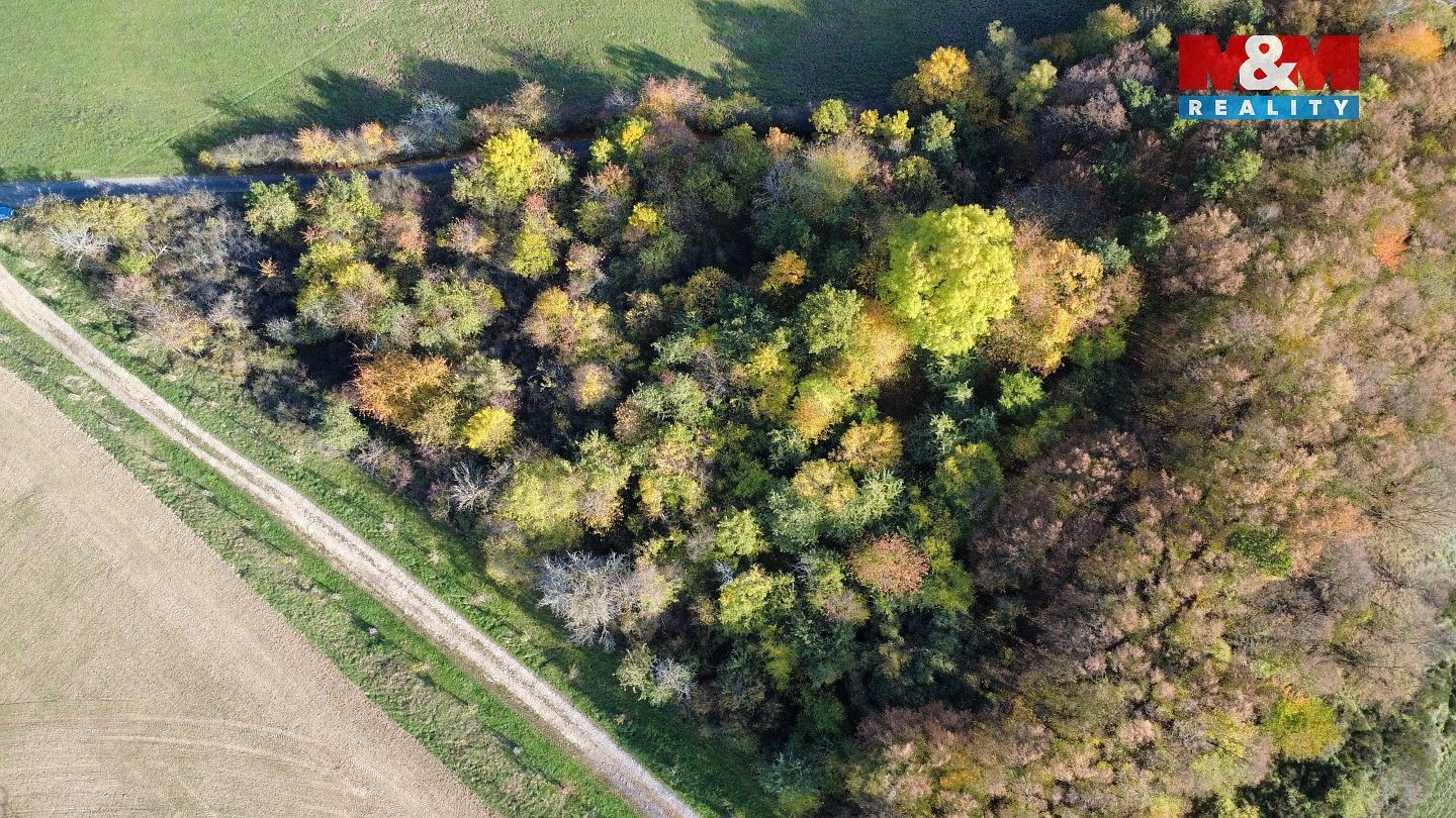 Zemědělský pozemek · Milešov, okres Příbram - 3