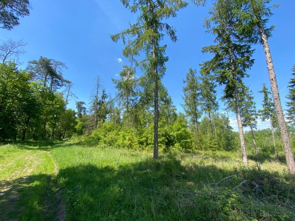 Pozemky pro bydlení, Kropáčova Vrutice, 294 79