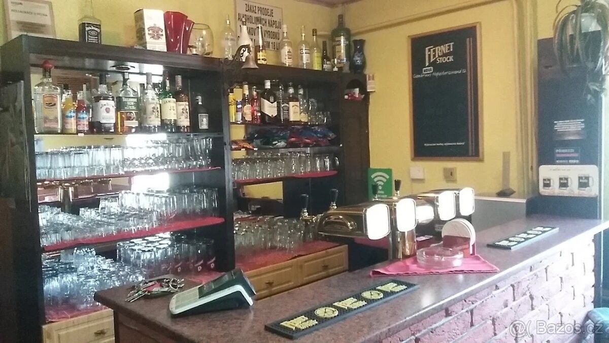 Pronájem restaurace - Nová Role, 362 25 - 5