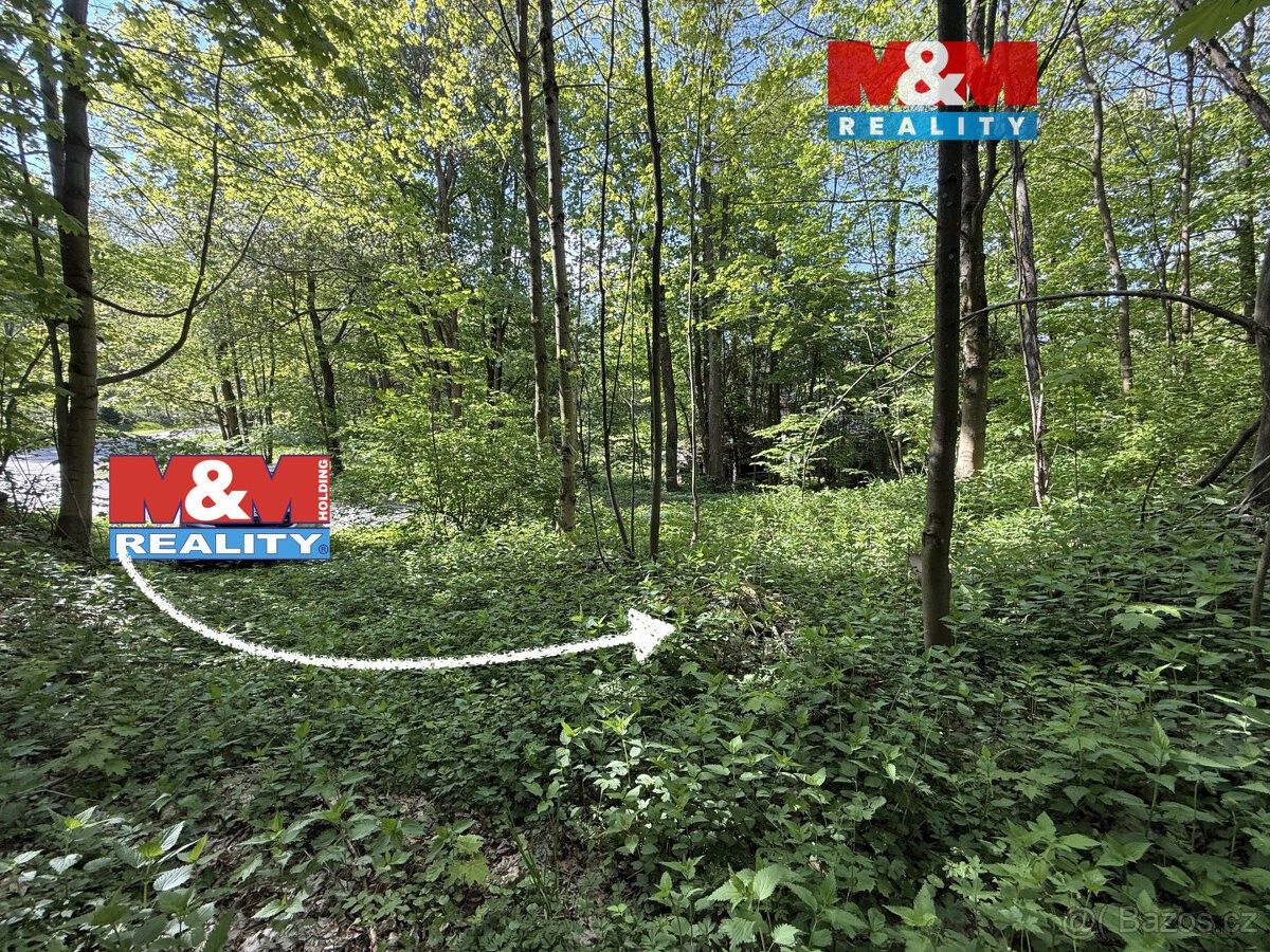 Pozemky pro bydlení, Králíky, 561 69