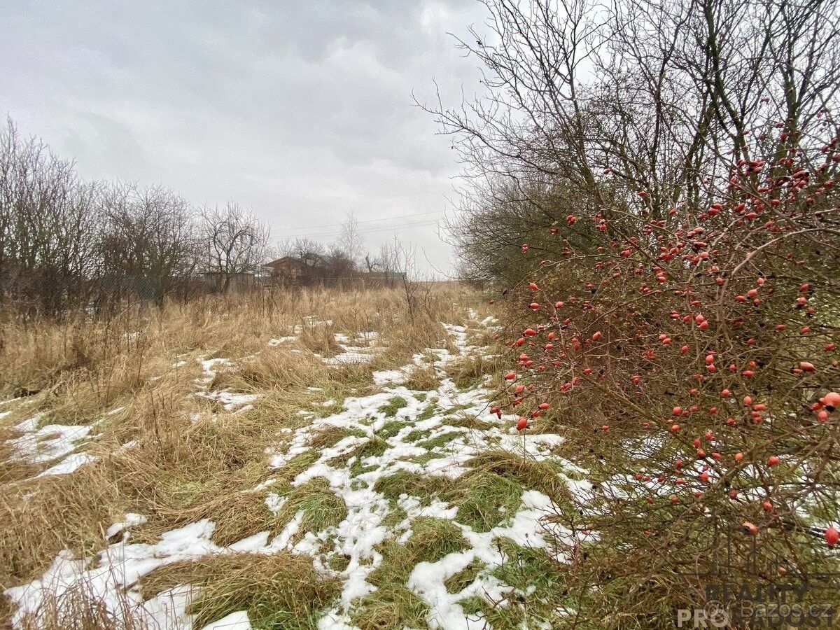 Zahrady, Cholina, 783 22