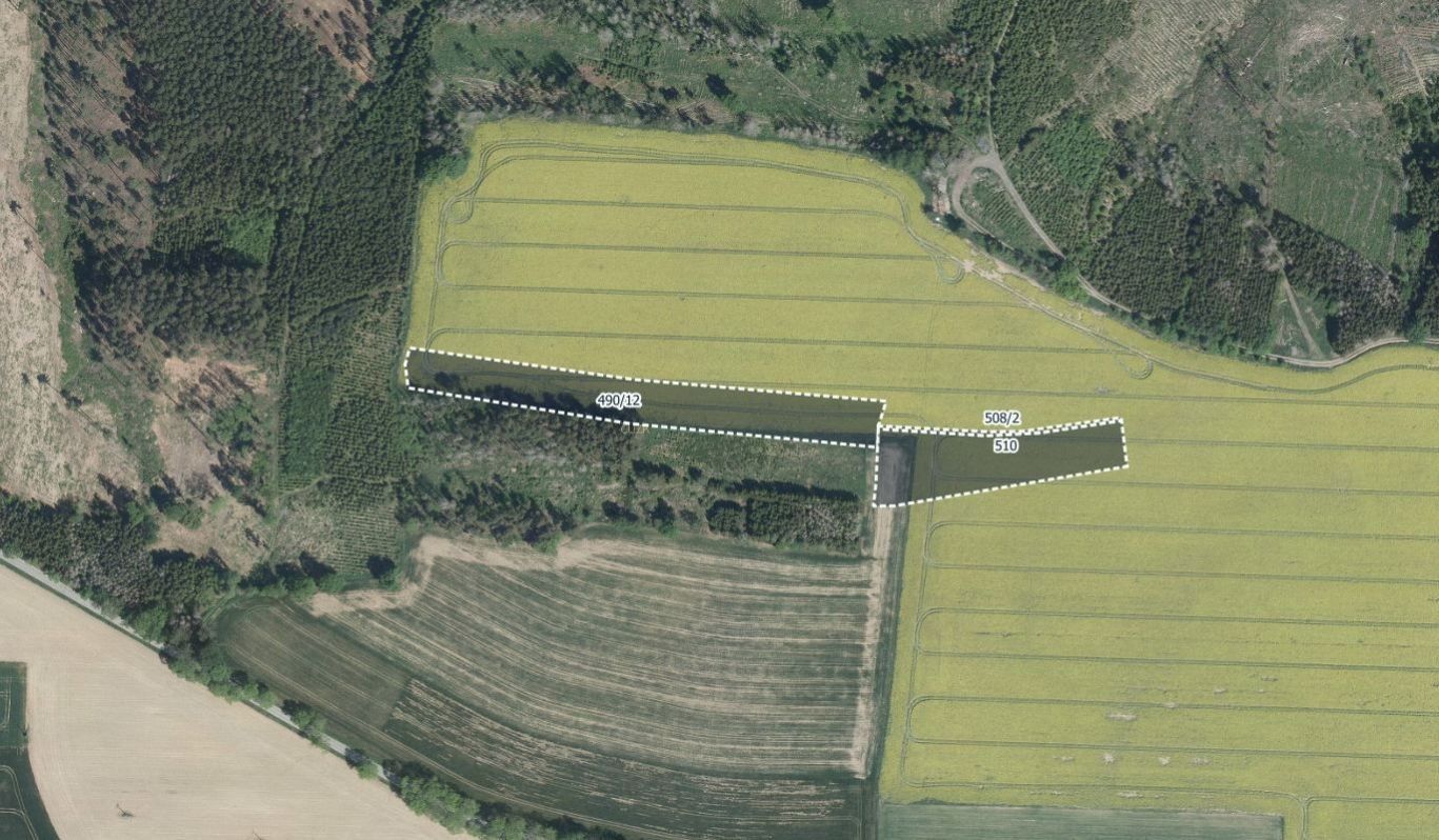 Prodej zemědělský pozemek - Hořice