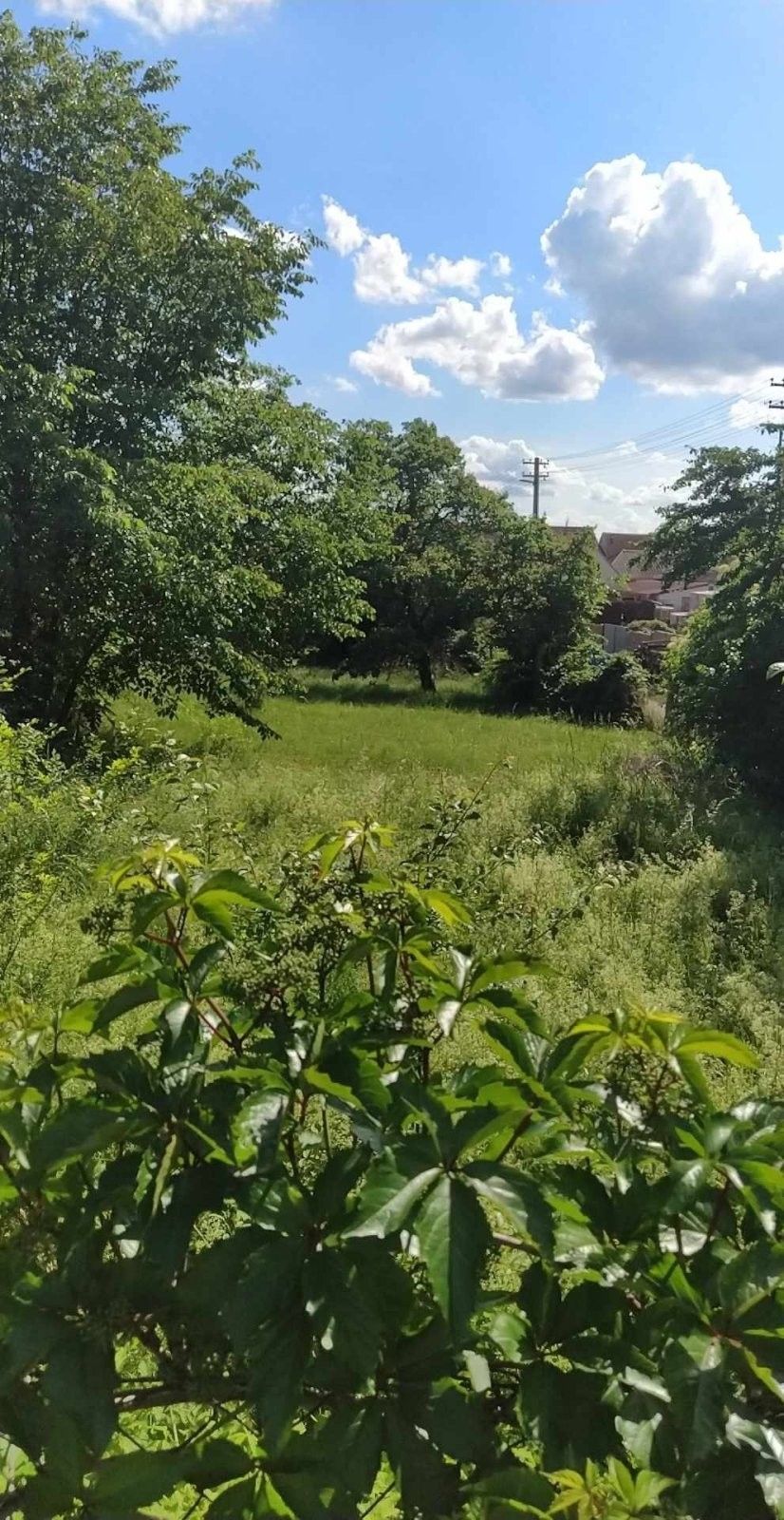 Pozemek pro bydlení · 659 m² · U dráhy, Šanov - 3