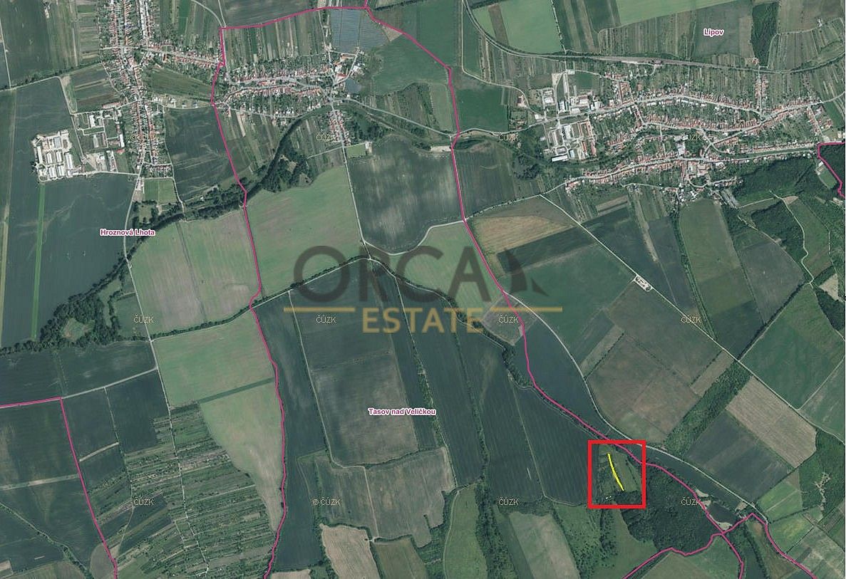 Zemědělský pozemek · Tasov, okres Hodonín, Jihomoravský kraj - 3