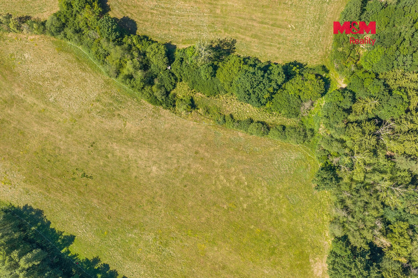 Prodej louka - Louňová, okres Plzeň-Jih - 5