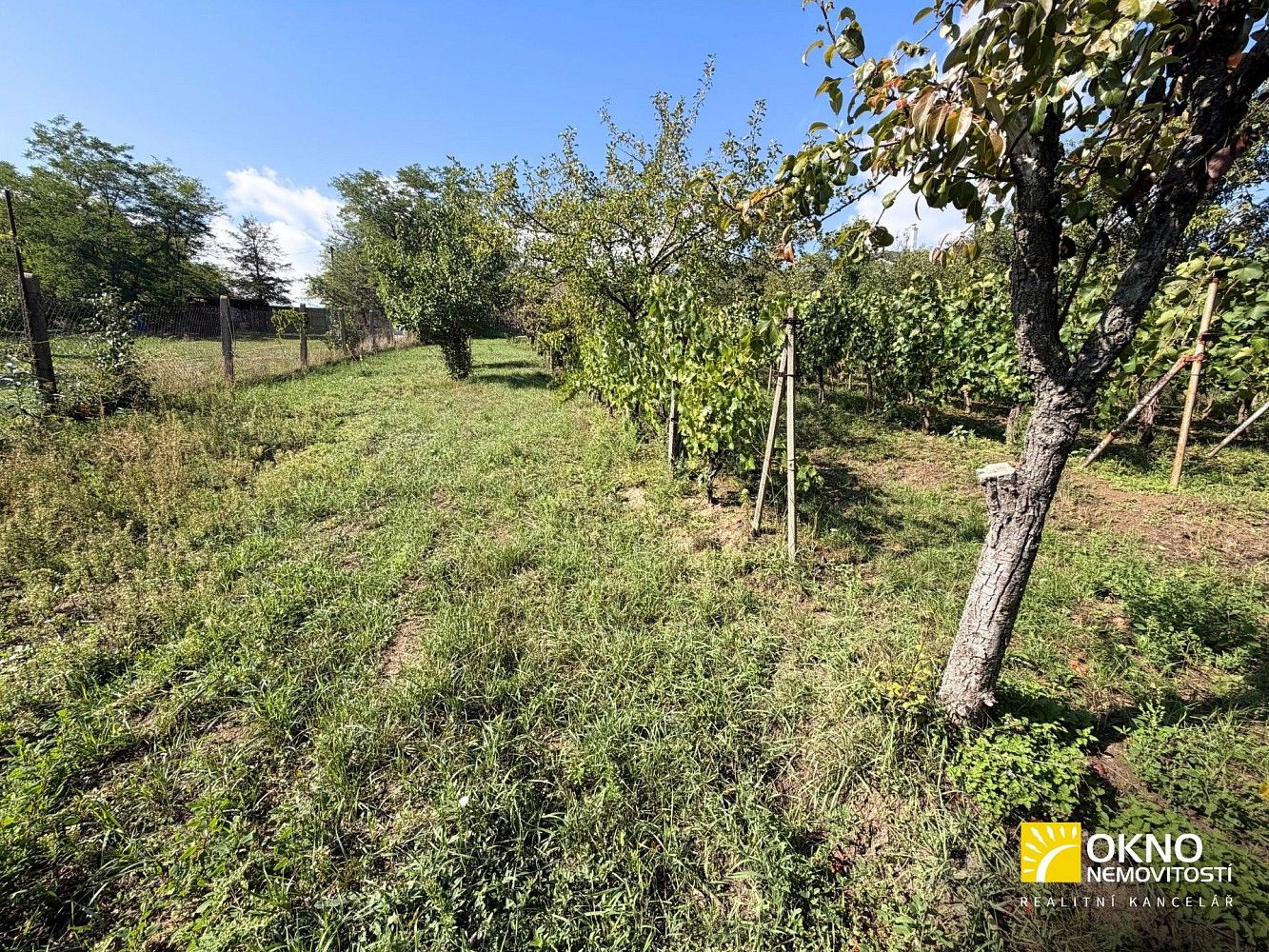 Prodej zahrada - Svatobořice-Mistřín, okres Hodonín, Jihomoravský kraj - 5