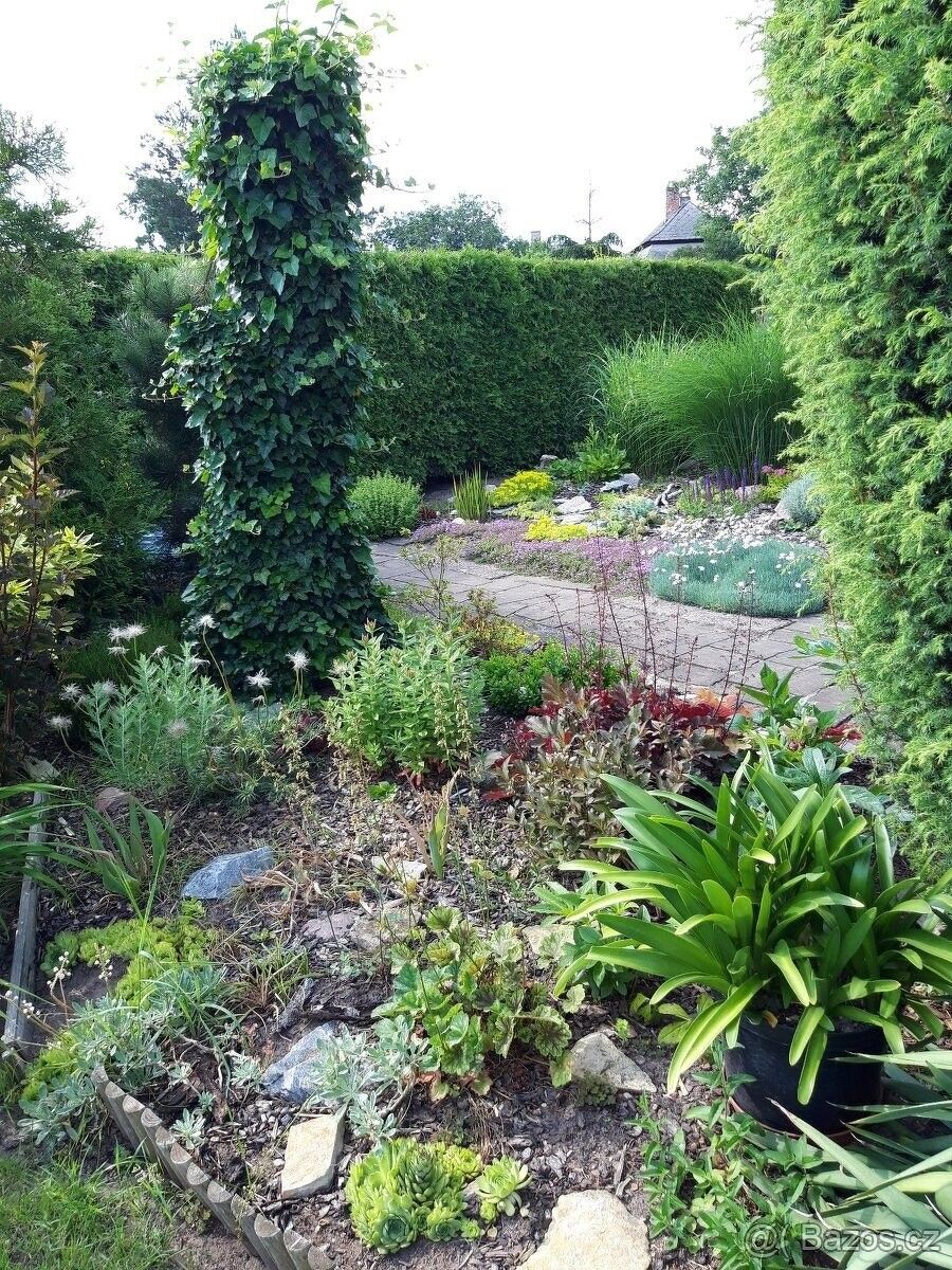 Zahrady, Hradec Králové, 500 02