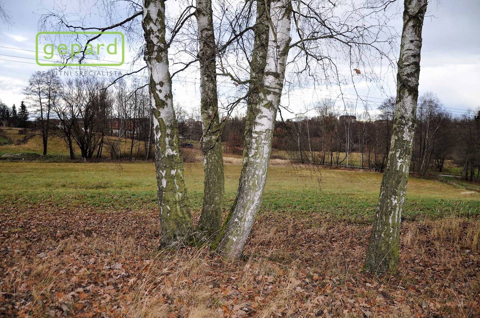 Zemědělské pozemky, , Trhové Sviny, 4 m²