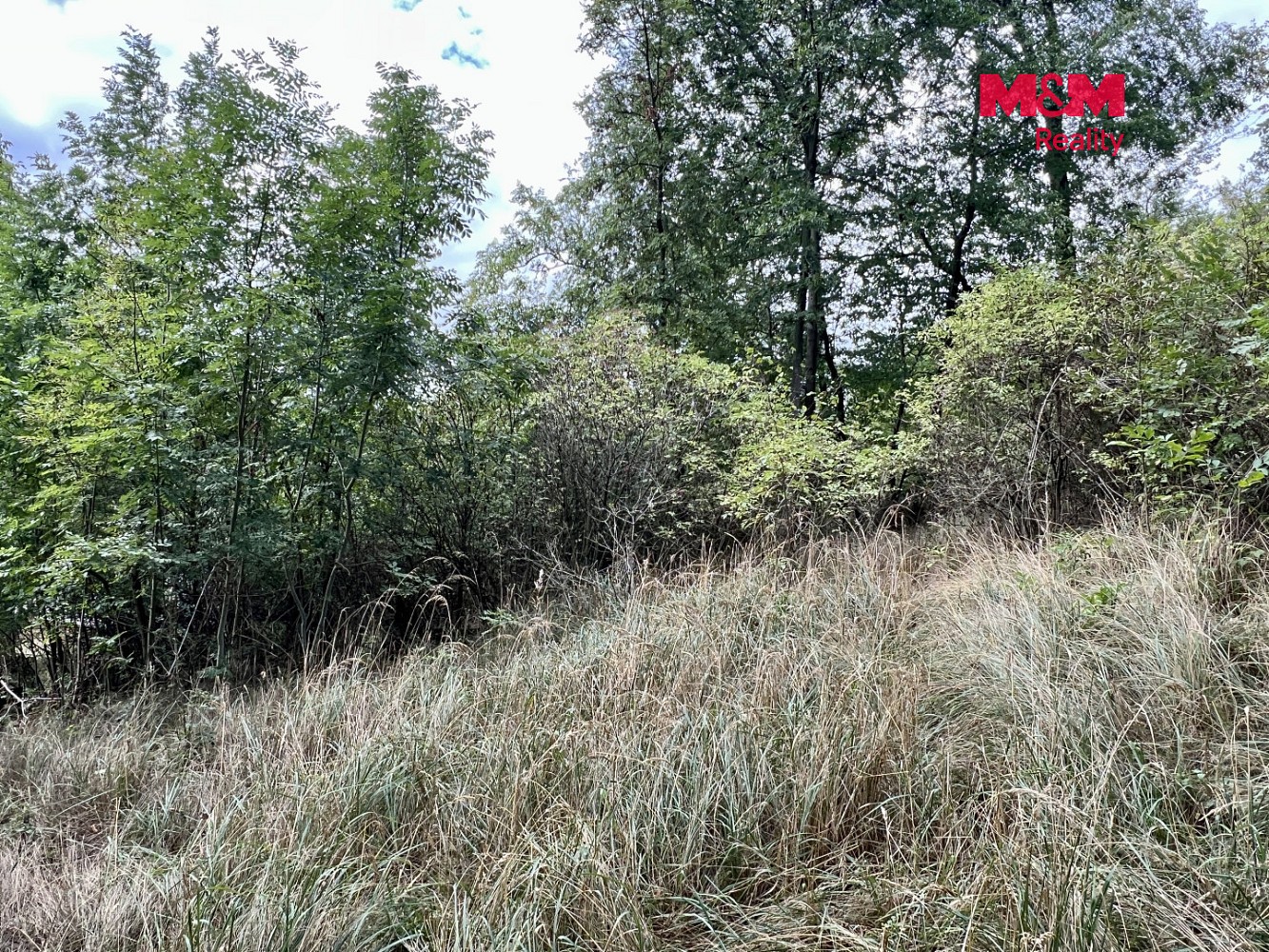Pozemek pro bydlení · Pyšely - Zaječice, okres Benešov - 4