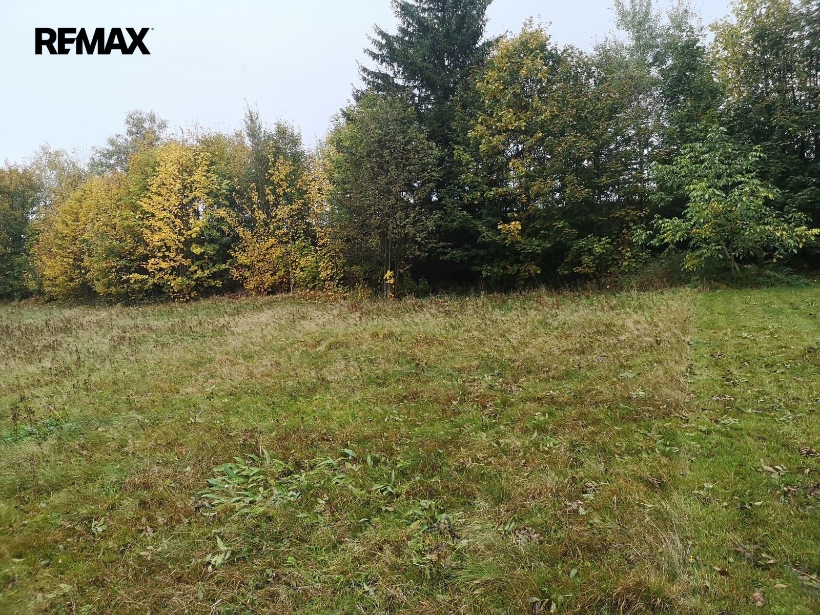 Prodej pozemek pro bydlení - Jeřmanice, 1 683 m² - 5