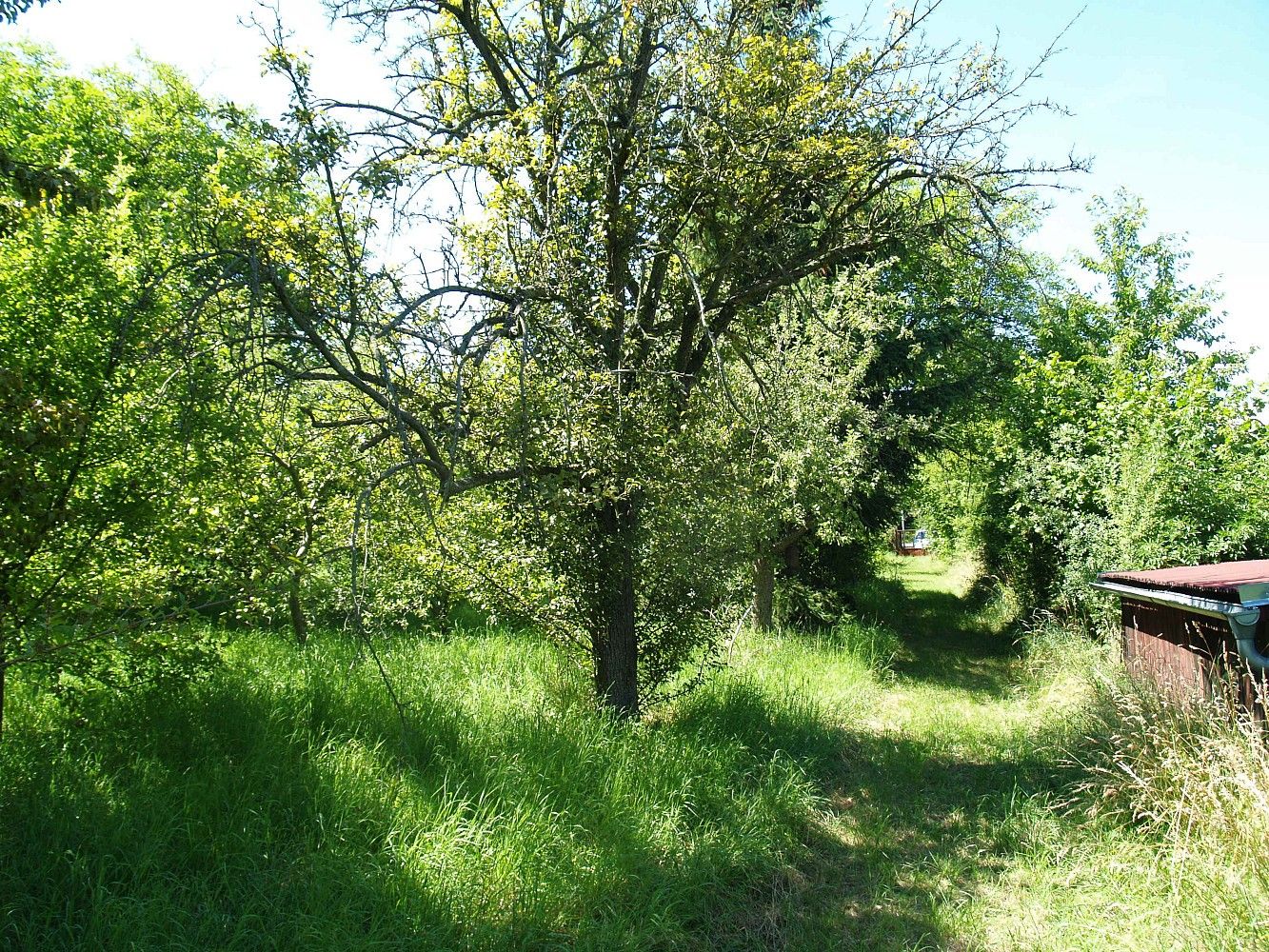 Pozemek pro bydlení, 1 635 m²