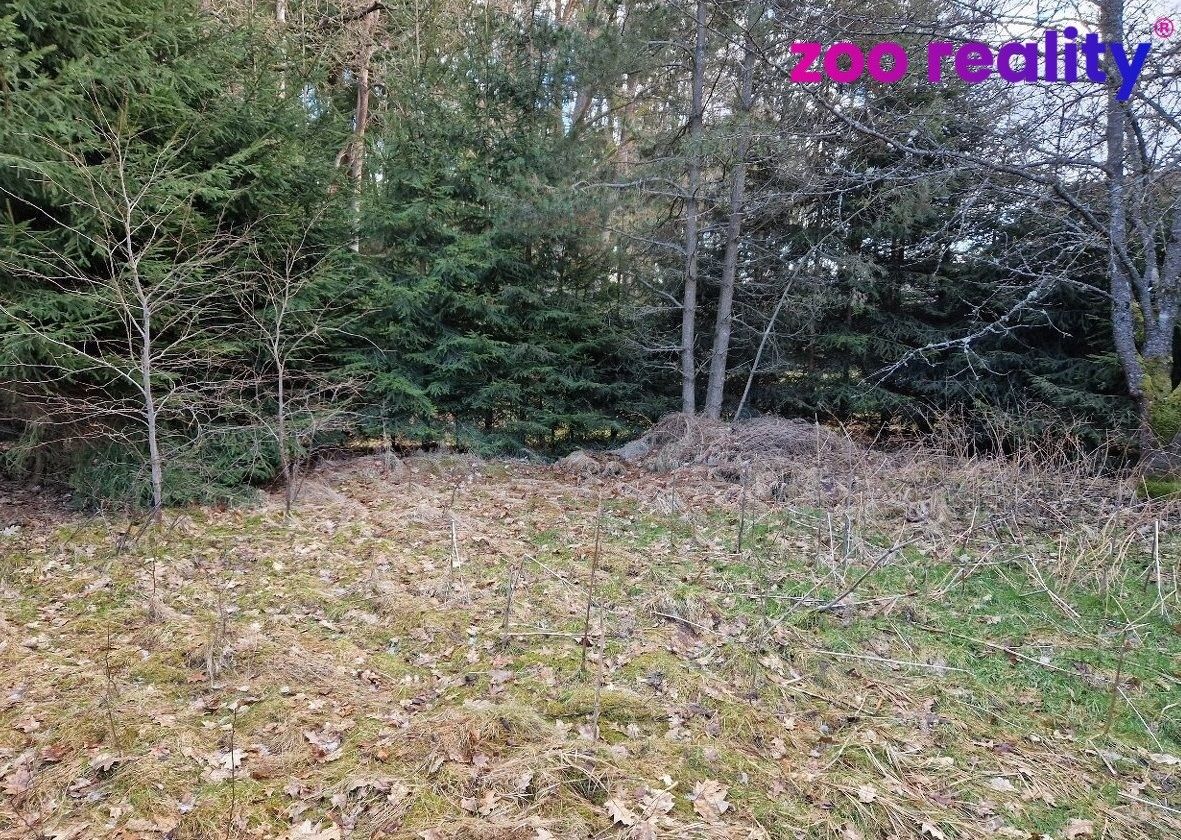 Prodej pozemek pro bydlení - Chlum u Třeboně, 665 m²